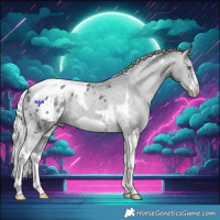 Horse Color:Silver Black Chinchilla Tobiano Frame Appaloosa 
