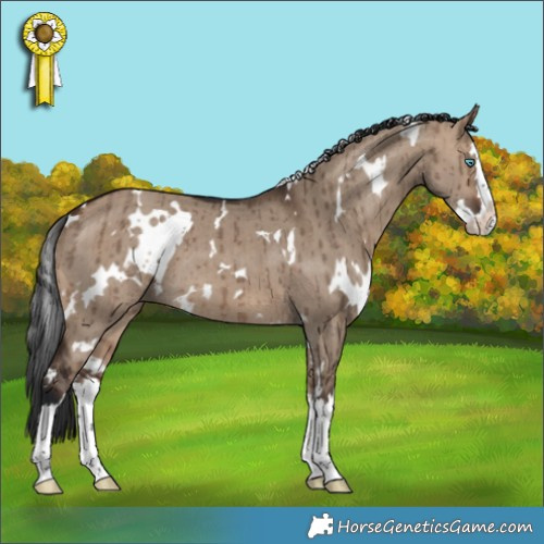 Horse Color:White Spotted Brown Dun Splash Brindle 