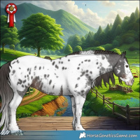 Horse Color:Liver Chestnut Sabino Splash Tobiano Appaloosa 