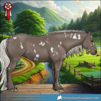 Horse Color:White Spotted Silver Black Frame Rabicano