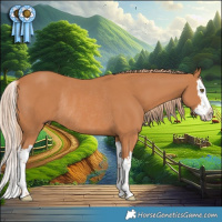 Horse Color:Chestnut Splash Rabicano 