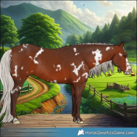 Horse Color:White Spotted Silver Brown Frame Rabicano 