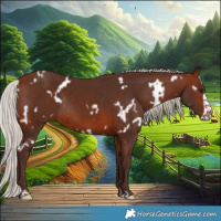 Horse Color:White Spotted Silver Brown Frame Rabicano 