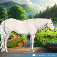 Horse Color:Silver Perlino Roan Splash Frame