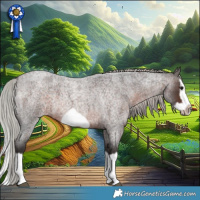 Horse Color:Silver Brown Roan Splash Frame 