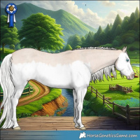Horse Color:Silver Perlino Roan Splash Frame 