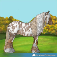 Horse Color:White Spotted Chocolate Palomino Roan Blanket 
