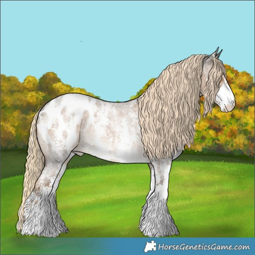 Horse Color:Chocolate Palomino Roan Sabino Blanket Rabicano 
