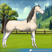 Horse Color:Amber Cream Champagne Splash 