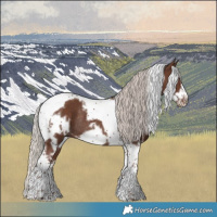 Horse Color:White Spotted Silver Black Tobiano Frame Rabicano