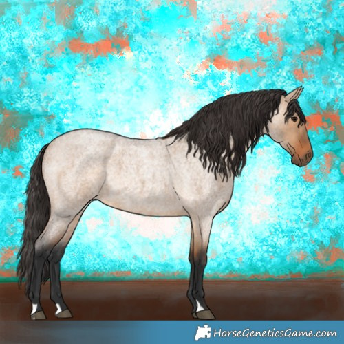 Horse Color:Bay Roan Dun