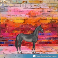 Horse Color:Black Rabicano 
