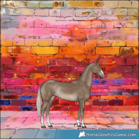 Horse Color:Silver Smoky Black Rabicano 