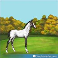 Horse Color:Brown Dun Near Fewspot Brindle