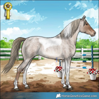 Horse Color:Liver Red Dun Roan Tobiano 