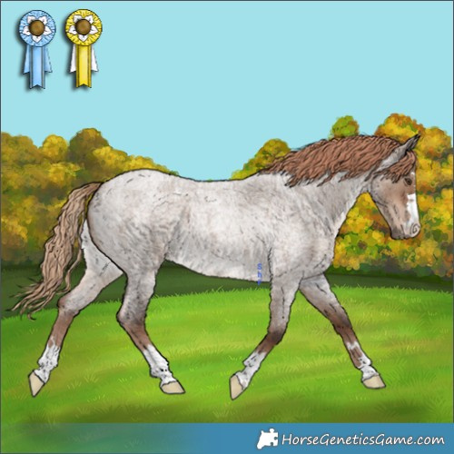 Horse Color:Liver Red Dun Roan 