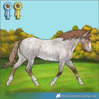 Horse Color:Liver Red Dun Roan 