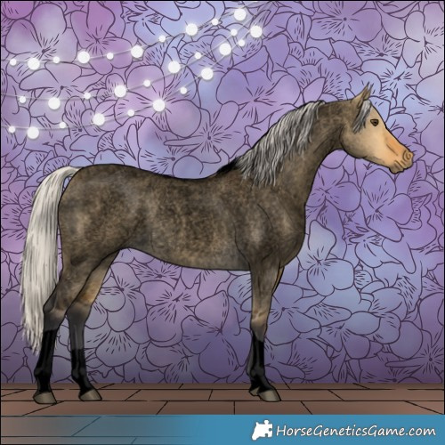 Horse Color:Void Silver Buckskin Roan Dun Tobiano 