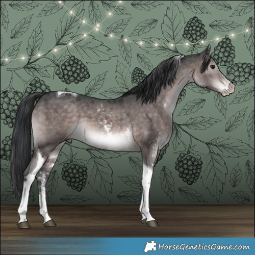 Horse Color:Platinum Brown Sabino Tobiano 