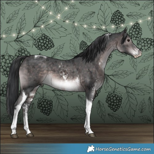 Horse Color:Platinum Brown Sabino Tobiano 