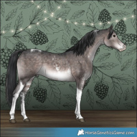 Horse Color:Platinum Brown Sabino Tobiano