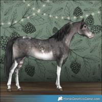 Horse Color:Platinum Brown Sabino Tobiano 