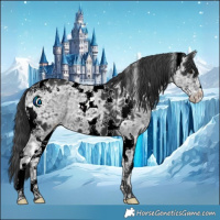 Horse Color:Black Ice Tobiano