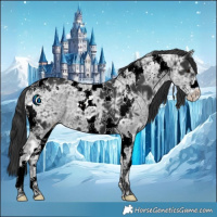 Horse Color:Black Ice Tobiano 