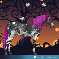 Horse Color:Painted White Spotted Black Tobiano