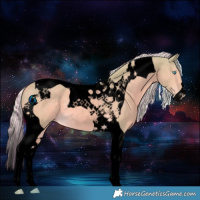Horse Color:Void Painted Watercolor Cremello Tobiano