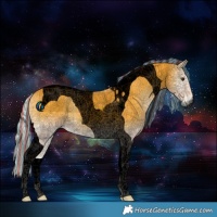 Horse Color:Void Painted Palomino Onyx Tobiano 