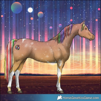 Horse Color:Painted Chestnut Tobiano 