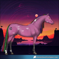 Horse Color:Painted Bay Dun Rabicano 