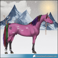 Horse Color:Painted Bay Dun Rabicano