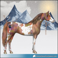 Horse Color:Nacre Chestnut Splash Tobiano 