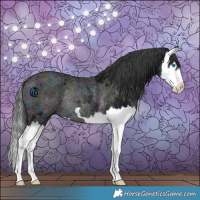 Horse Color:Midnight Black Ice Splash Rabicano 