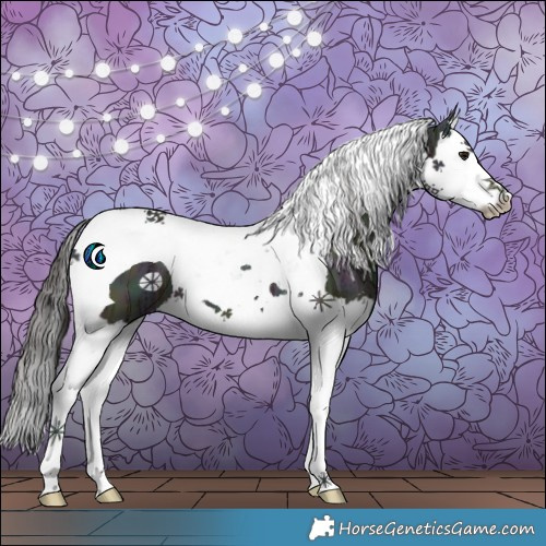 Horse Color:Midnight Bay Ice Splash Tobiano 