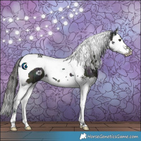 Horse Color:Midnight Bay Ice Splash Tobiano 