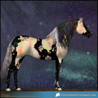 Horse Color:Void Nacre Palomino Splash Tobiano 