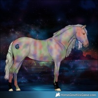 Horse Color:Void Nacre Silver Grullo 