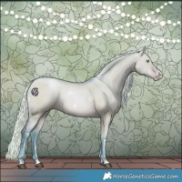 Horse Color:Watercolor Silver Bay Pearl Dun Rabicano 