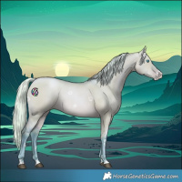 Horse Color:Watercolor Silver Bay Pearl Dun Rabicano