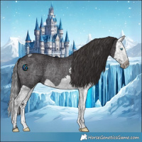 Horse Color:Smoky Black Splash Rabicano