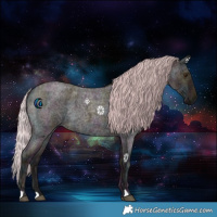 Horse Color:Midnight Silver Blue Ice Roan 