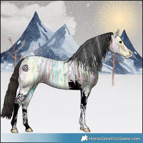 Horse Color:Bay Ice Tobiano 