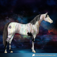 Horse Color:Bay Ice Tobiano