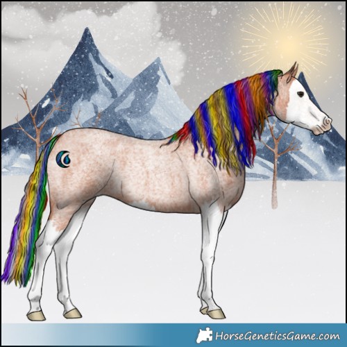 Horse Color:Painted Bay Roan Splash 