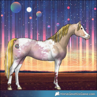 Horse Color:Painted Silver Bay Dun Splash Tobiano Rabicano 