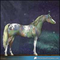 Horse Color:Painted Nacre Silver Bay Dun Tobiano Rabicano