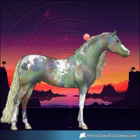 Horse Color:Painted Nacre Silver Bay Dun Tobiano Rabicano